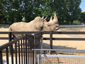 東武動物公園に投稿された画像（2023/5/3）
