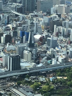 ハルカス300(展望台)に投稿された画像（2023/5/3）