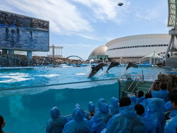 名古屋港水族館に投稿された画像（2023/5/3）