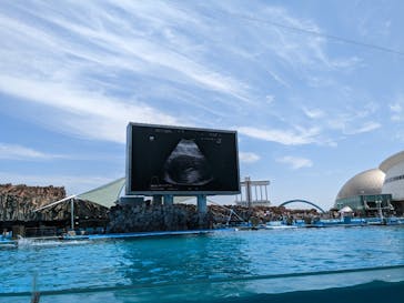 名古屋港水族館に投稿された画像（2023/5/3）