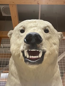 国立科学博物館に投稿された画像（2023/5/3）