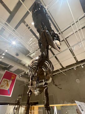 国立科学博物館に投稿された画像（2023/5/3）