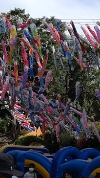 東京タワーに投稿された画像（2023/5/3）