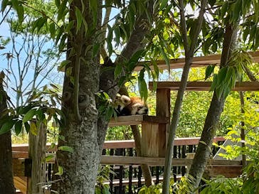 到津の森公園に投稿された画像（2023/5/3）