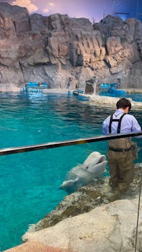 名古屋港水族館に投稿された画像（2023/5/3）