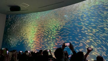 名古屋港水族館に投稿された画像（2023/5/3）