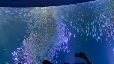 名古屋港水族館に投稿された画像（2023/5/3）
