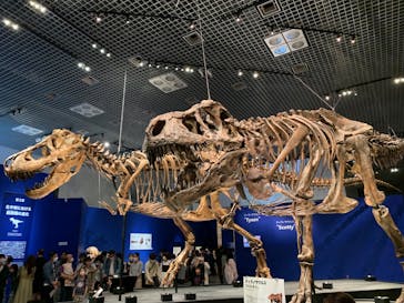 特別展「恐竜博2023」に投稿された画像（2023/5/3）