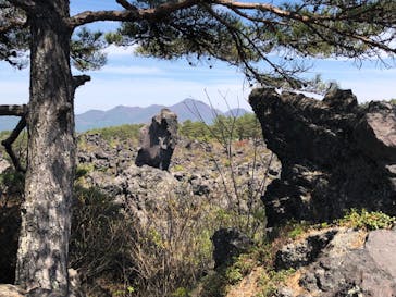 鬼押出し園に投稿された画像（2023/5/3）