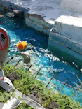 天王寺動物園に投稿された画像（2023/5/3）