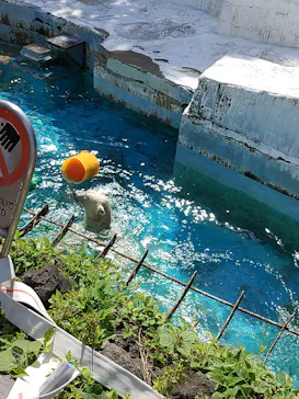 天王寺動物園に投稿された画像（2023/5/3）