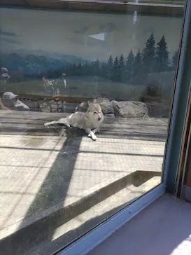 天王寺動物園に投稿された画像（2023/5/3）