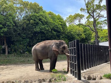 よこはま動物園ズーラシアに投稿された画像（2023/5/3）