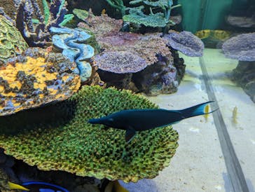 サンシャイン水族館に投稿された画像（2023/5/3）