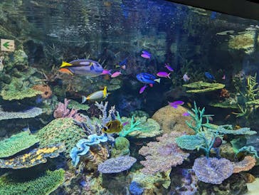 サンシャイン水族館に投稿された画像（2023/5/3）