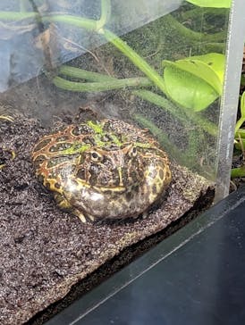 サンシャイン水族館に投稿された画像（2023/5/3）