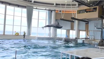 アクアワールド茨城県大洗水族館に投稿された画像（2023/5/3）