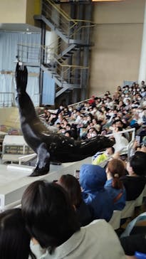 アクアワールド茨城県大洗水族館に投稿された画像（2023/5/3）
