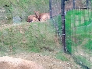 沖縄こどもの国に投稿された画像（2023/5/3）