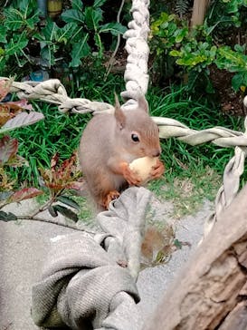 沖縄こどもの国に投稿された画像（2023/5/3）