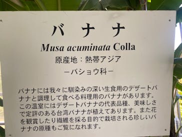 熱川バナナワニ園に投稿された画像（2023/5/3）