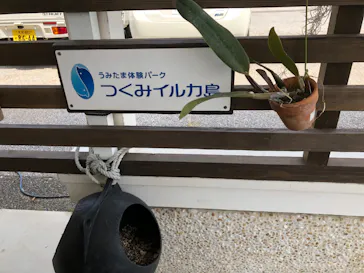 うみたま体験パーク 「つくみイルカ島」に投稿された画像（2023/5/3）