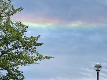 ひらかたパークに投稿された画像（2023/5/3）