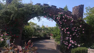 ひらかたパークに投稿された画像（2023/5/3）