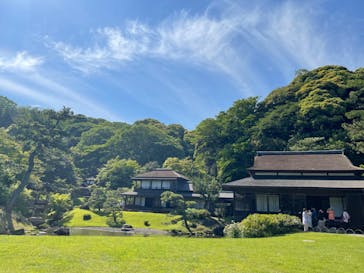 三溪園に投稿された画像（2023/5/3）