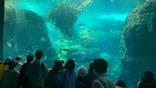 新江ノ島水族館に投稿された画像（2023/5/3）