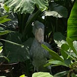 神戸どうぶつ王国に投稿された画像（2023/5/3）