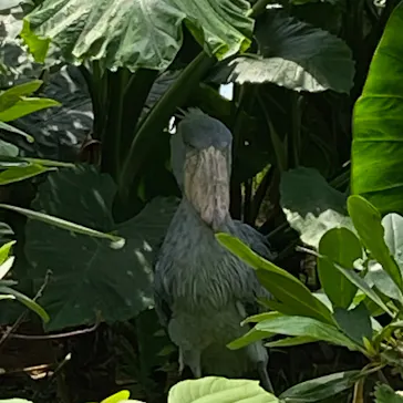 神戸どうぶつ王国に投稿された画像（2023/5/3）