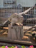 天王寺動物園に投稿された画像（2023/5/3）