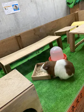 天王寺動物園に投稿された画像（2023/5/3）