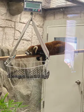 天王寺動物園に投稿された画像（2023/5/3）