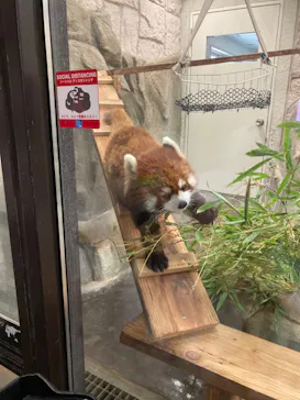 天王寺動物園に投稿された画像（2023/5/3）