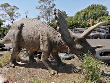 伊豆ぐらんぱる公園に投稿された画像（2023/5/3）