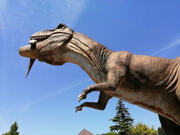 伊豆ぐらんぱる公園に投稿された画像（2023/5/3）