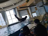 アクアワールド茨城県大洗水族館に投稿された画像（2023/5/3）
