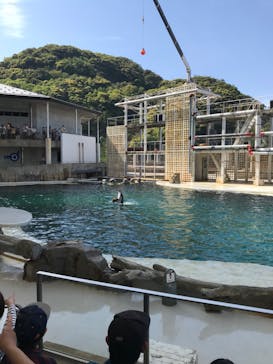 城崎マリンワールドに投稿された画像（2023/5/3）