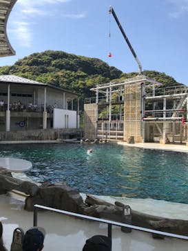 城崎マリンワールドに投稿された画像（2023/5/3）