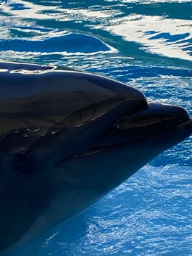 南知多ビーチランド＆南知多おもちゃ王国に投稿された画像（2023/5/3）