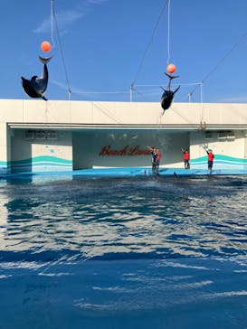 南知多ビーチランド＆南知多おもちゃ王国に投稿された画像（2023/5/3）