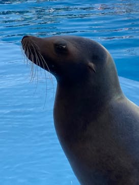 南知多ビーチランド＆南知多おもちゃ王国に投稿された画像（2023/5/3）