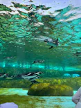 天王寺動物園に投稿された画像（2023/5/3）