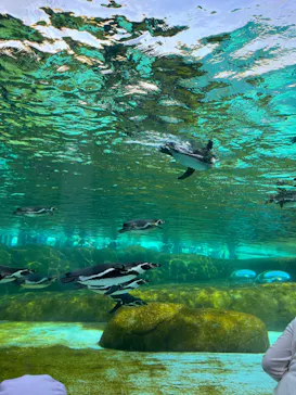 天王寺動物園に投稿された画像（2023/5/3）