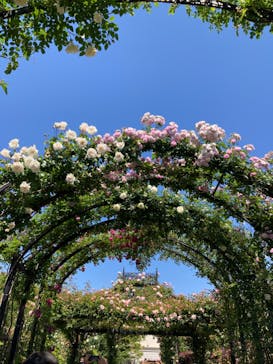 横浜イングリッシュガーデンに投稿された画像（2023/5/3）