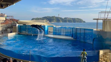 新江ノ島水族館に投稿された画像（2023/5/3）