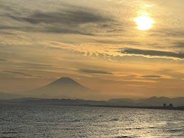 新江ノ島水族館に投稿された画像（2023/5/3）