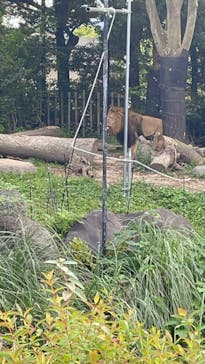 到津の森公園に投稿された画像（2023/5/3）